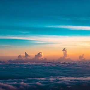 Meet your Posher, Mia